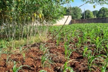 Imgi 61 709 311445d7f3304df19e905f098e791360 t w 1024 h