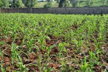 Imgi 62 709 fae134457eb54accab0bb6683f0c1df8 t w 1024 h